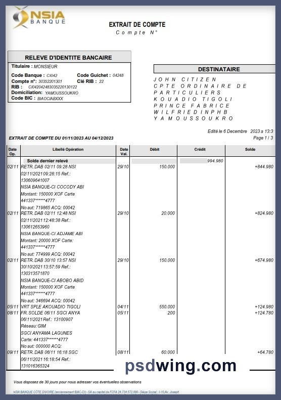 France NSIA Banque Bank Statement (4 Pages, Word)